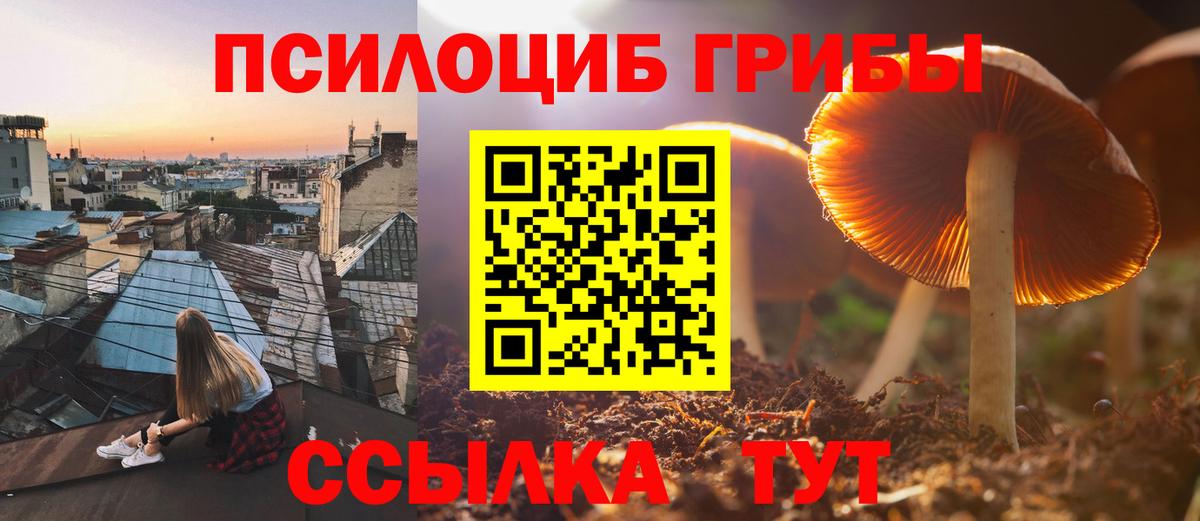 Лиски  Псилоцибиновые грибы MAGIC MUSHROOMS  продажа наркотиков  Псилоцибиновые грибы Magic Shrooms  Вход с VPN 